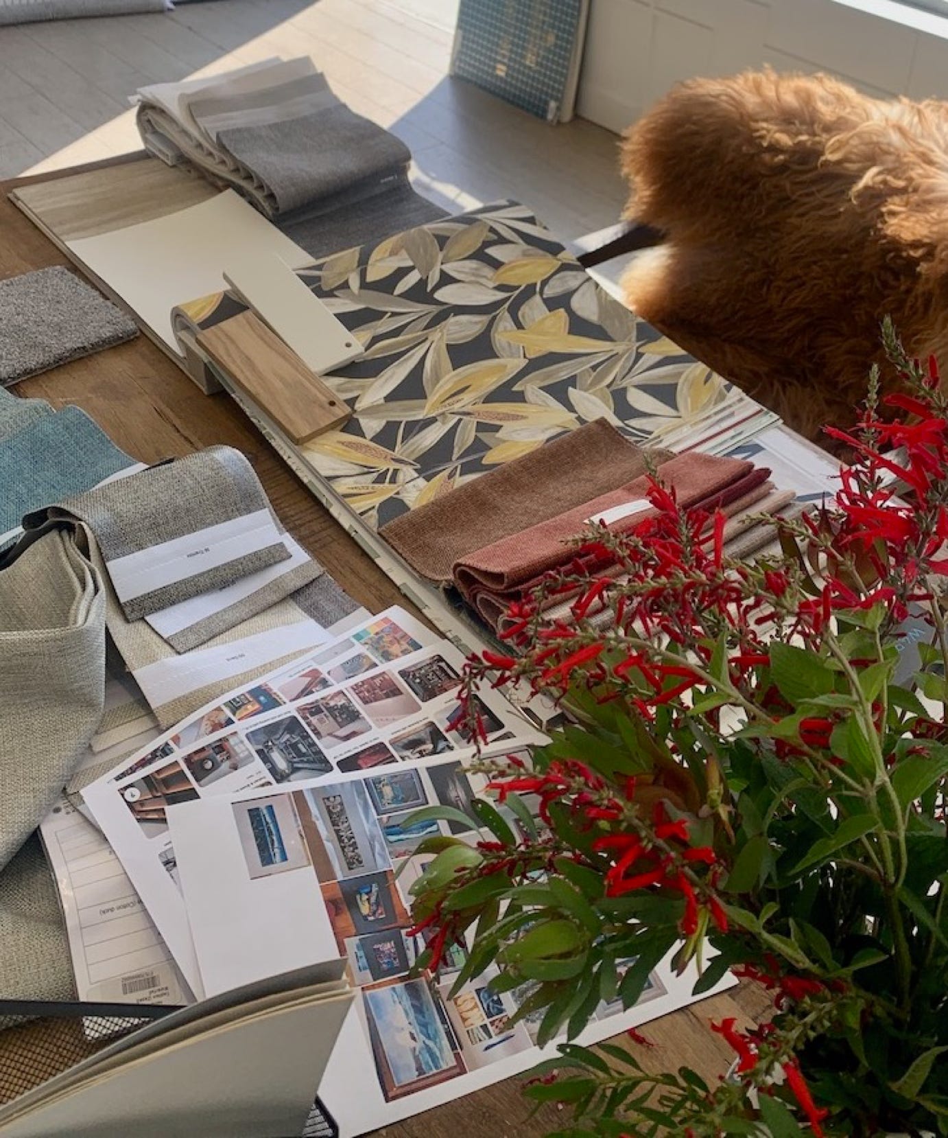 Studio 28 Interio Design Wellington Zealand. Creating wow interiors that are easy on the eye. Kitchen showing fridge, cabinetry and digital printed glass splashback